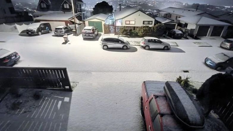 【图片/视频】今晨醒来看雪，南岛变冬季仙境